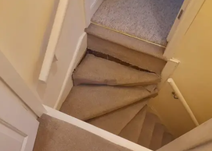 Cheezburger Image 10626083328