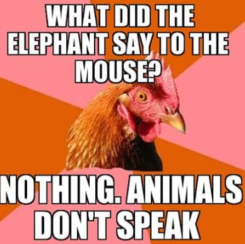 WHAT DID THE ELEPHANT SAY TO THE MOUSE? NOTHING. ANIMALS DON'T SPEAK
