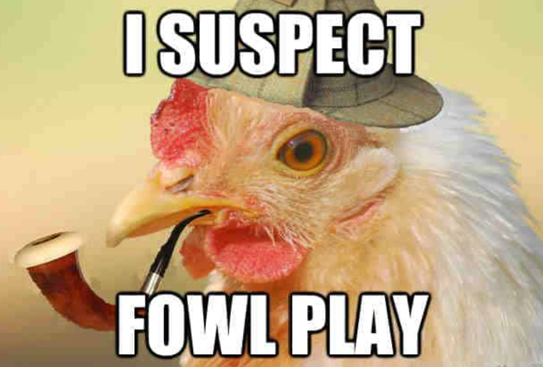 I SUSPECT FOWL PLAY