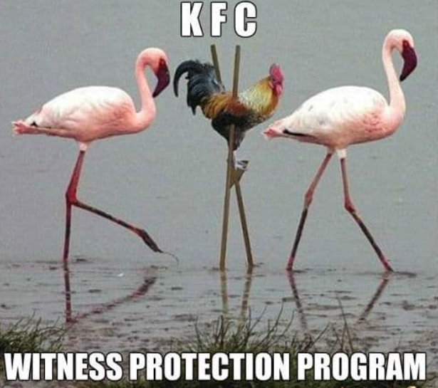KFC WITNESS PROTECTION PROGRAM