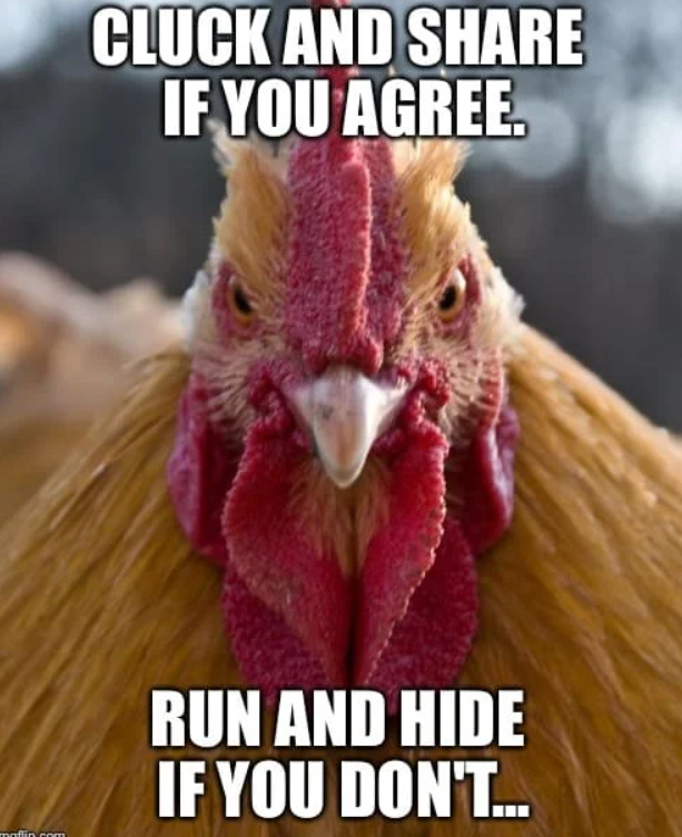 CLUCK AND SHARE IF YOU AGREE. maflin.com RUN AND HIDE IF YOU DON'T...