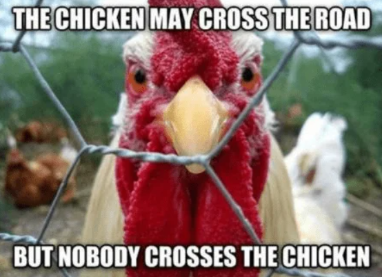 THE CHICKEN MAY CROSS THE ROAD BUT NOBODY CROSSES THE CHICKEN