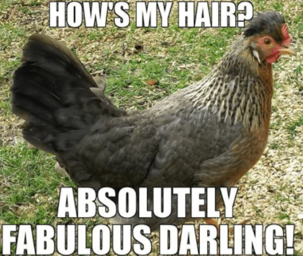 HOW'S MY HAIR? ABSOLUTELY FABULOUS DARLING!