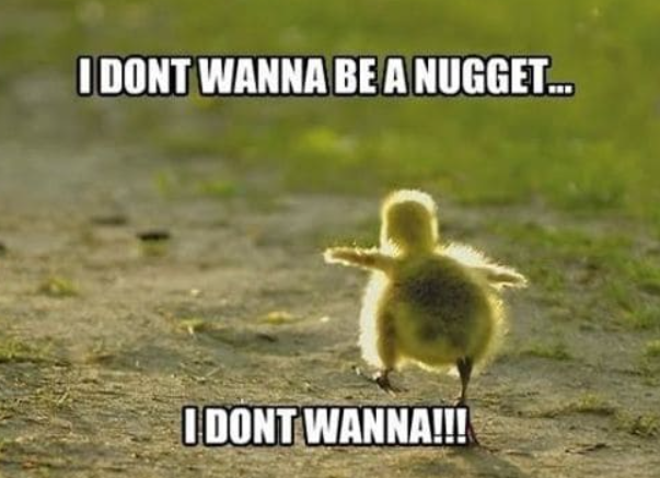 I DONT WANNA BE A NUGGET... I DONT WANNA!!!
