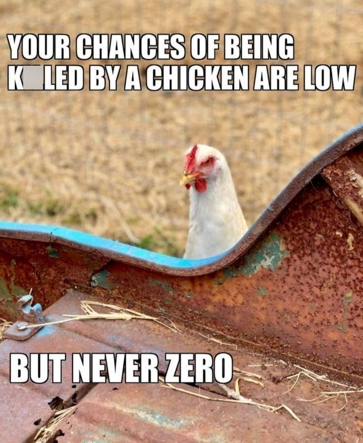 YOUR CHANCES OF BEING KELED BY A CHICKEN ARE LOW BUT NEVER ZERO