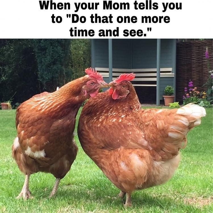 When your Mom tells you to "Do that one more time and see."