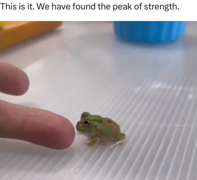 This is it. We have found the peak of strength.