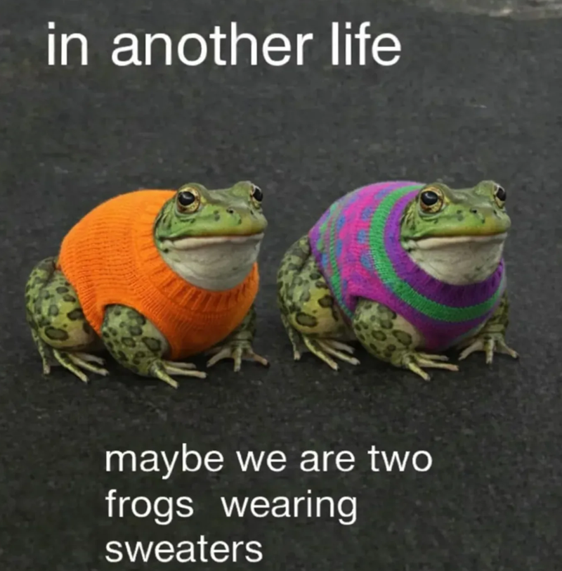 in another life maybe we are two frogs wearing sweaters