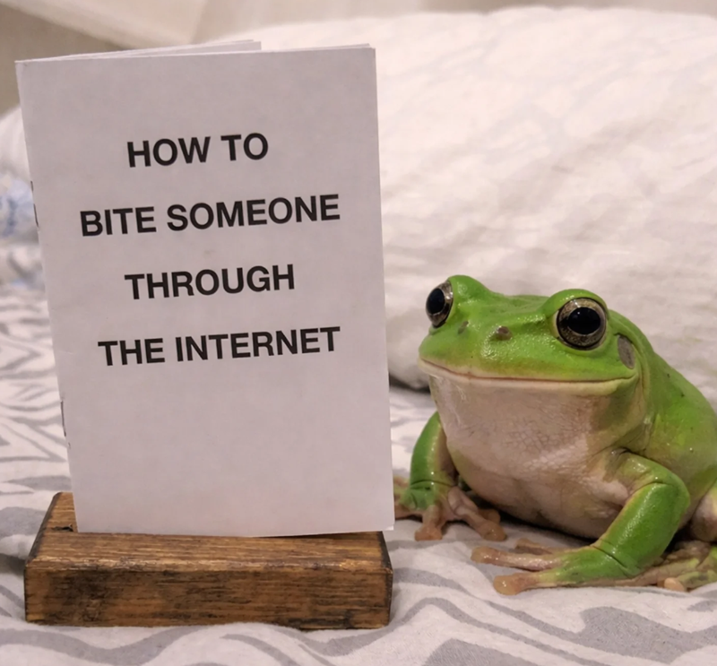 HOW TO BITE SOMEONE THROUGH THE INTERNET