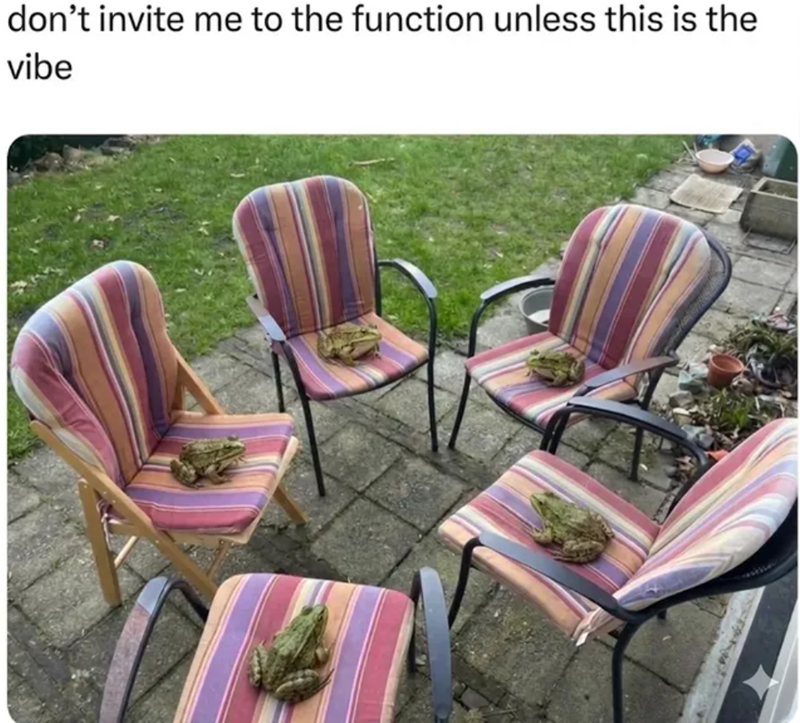 don't invite me to the function unless this is the vibe