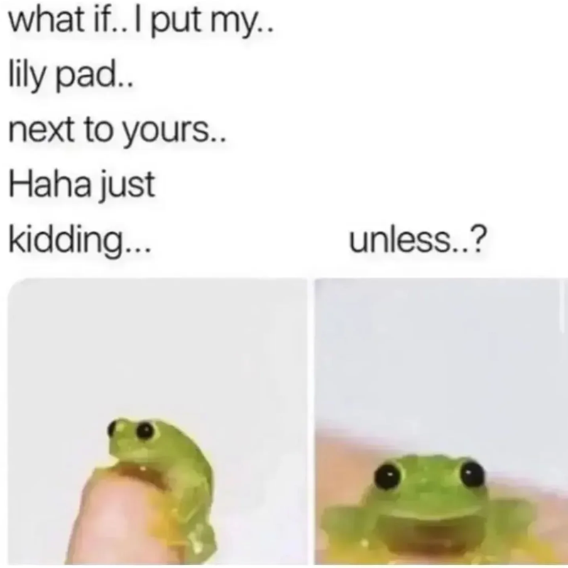 what if.. I put my.. lily pad.. next to yours.. Haha just kidding... unless..?