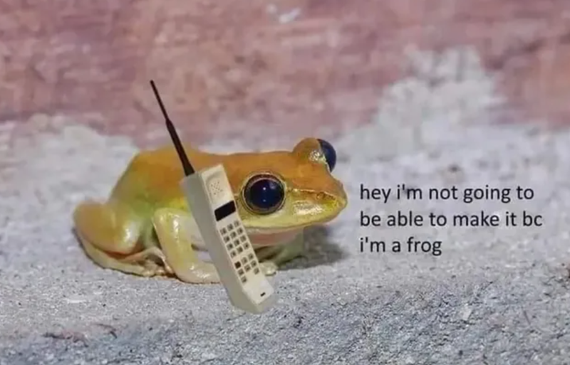 hey i'm not going to be able to make it bc i'm a frog