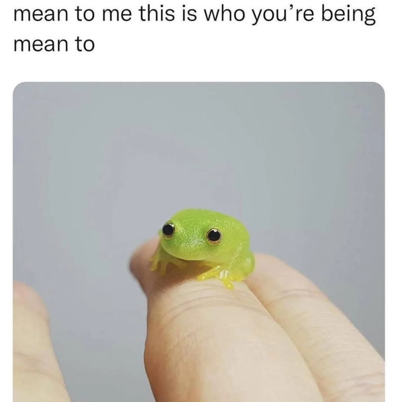 mean to me this is who you're being mean to