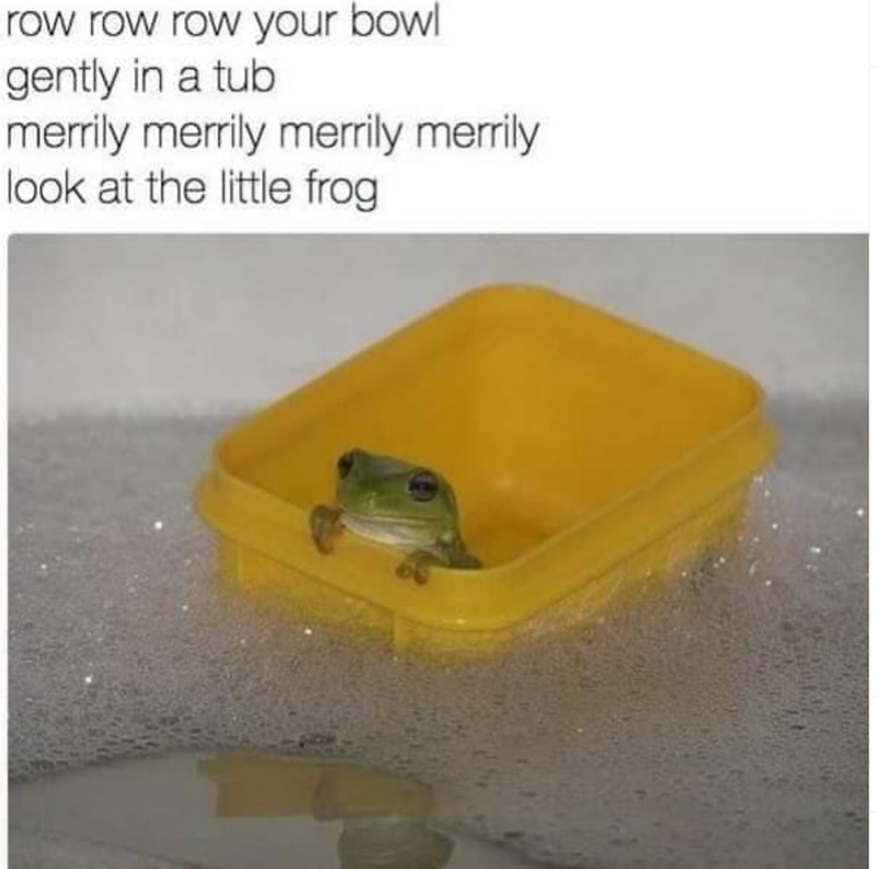 row row row your bowl gently in a tub merrily merrily merrily merrily look at the little frog