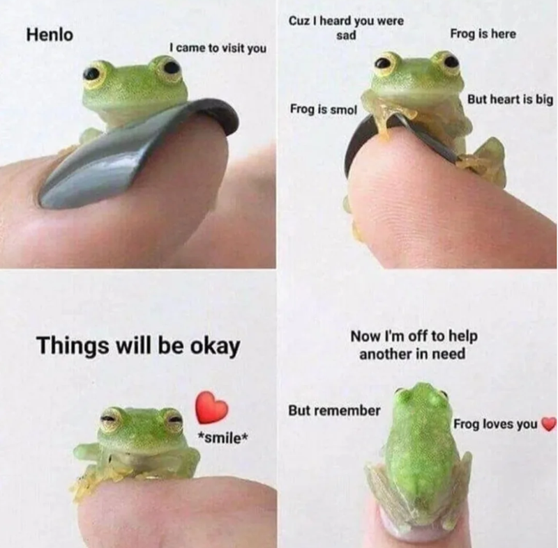 Henlo Cuz I heard you were sad Frog is here I came to visit you Things will be okay But heart is big Frog is smol Now I'm off to help another in need But remember Frog loves you *smile*