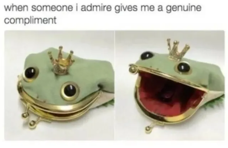 when someone i admire gives me a genuine compliment