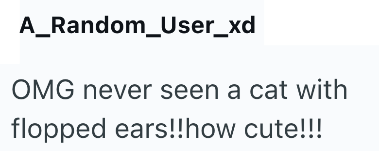 A_Random_User_xd OMG never seen a cat with flopped ears!!how cute!!!