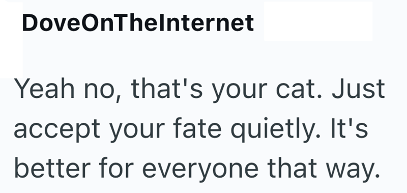 DoveOnThelnternet Yeah no, that's your cat. Just accept your fate quietly. It's better for everyone that way.