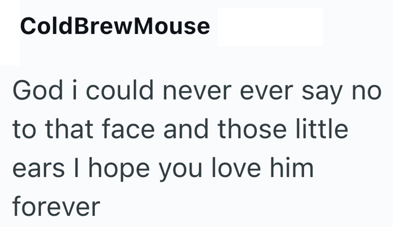 Cold BrewMouse God i could never ever say no to that face and those little ears I hope you love him forever
