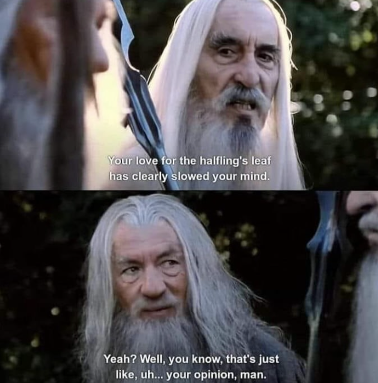 Your love for the halfling's leaf has clearly slowed your mind. Yeah? Well, you know, that's just like, uh... your opinion, man.