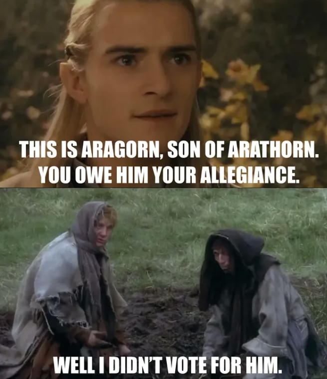 THIS IS ARAGORN, SON OF ARATHORN. YOU OWE HIM YOUR ALLEGIANCE. WELL I DIDN'T VOTE FOR HIM.