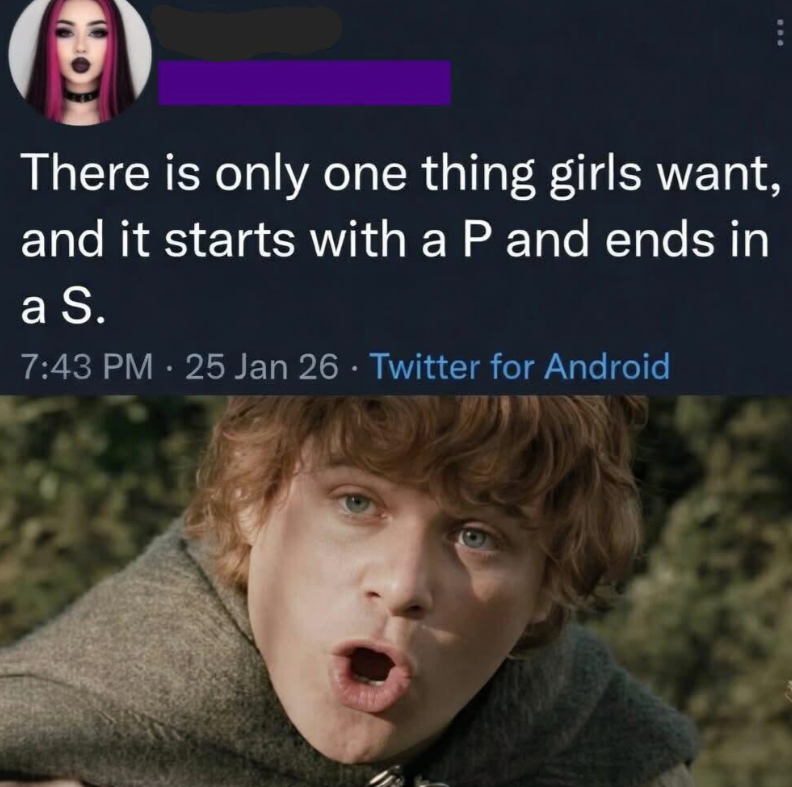 There is only one thing girls want, and it starts with a P and ends in a S. 7:43 PM 25 Jan 26 Twitter for Android