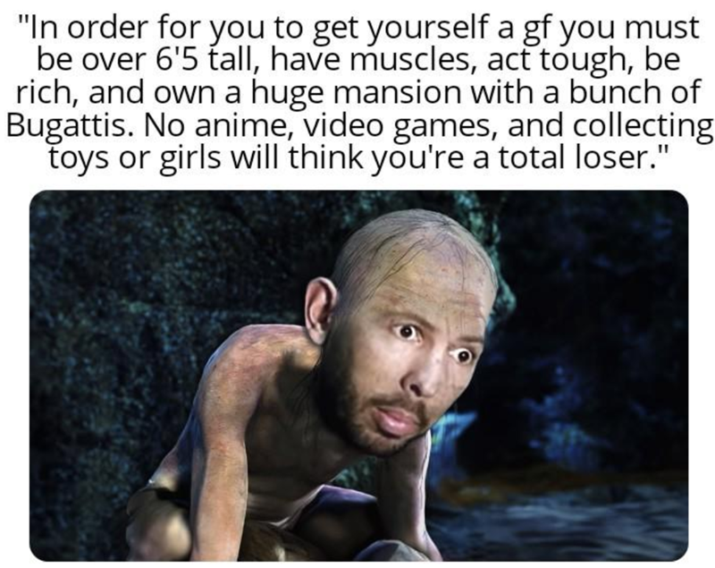 "In order for you to get yourself a gf you must be over 6'5 tall, have muscles, act tough, be rich, and own a huge mansion with a bunch of Bugattis. No anime, video games, and collecting toys or girls will think you're a total loser."