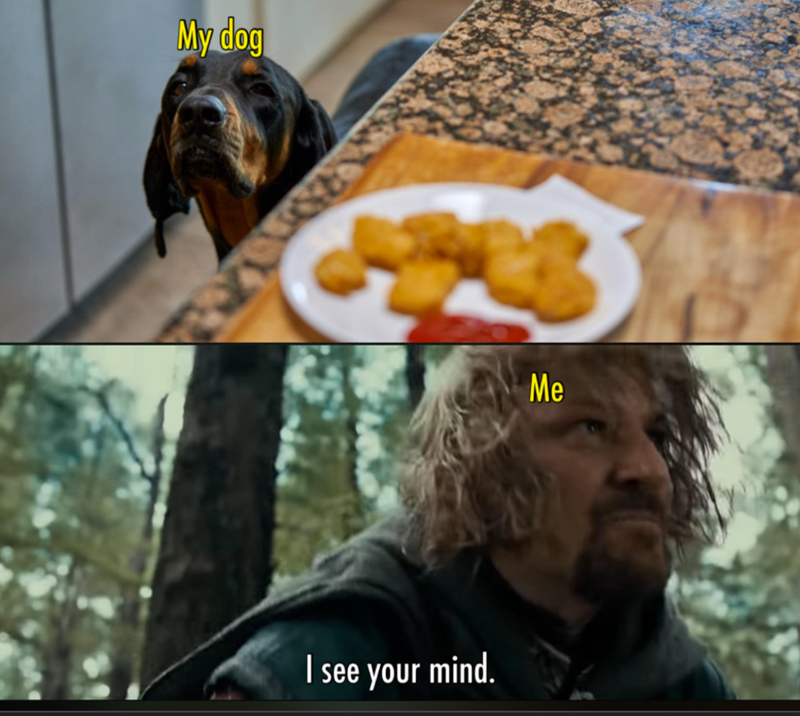 My dog I see your mind. Me