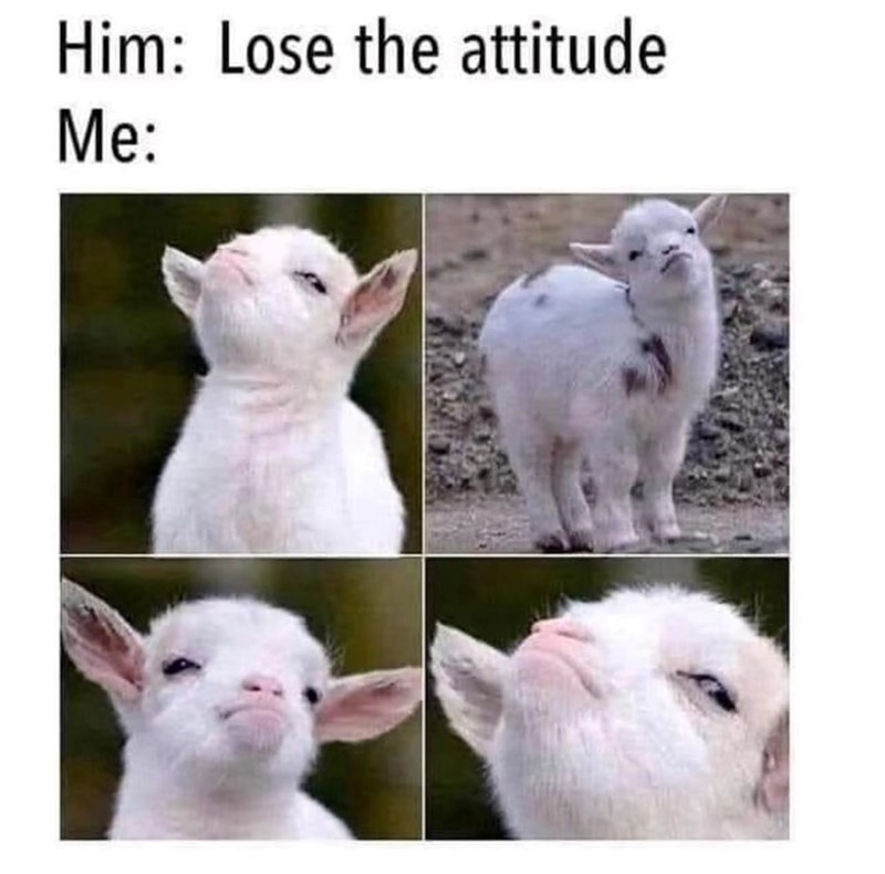 Him: Lose the attitude Me: