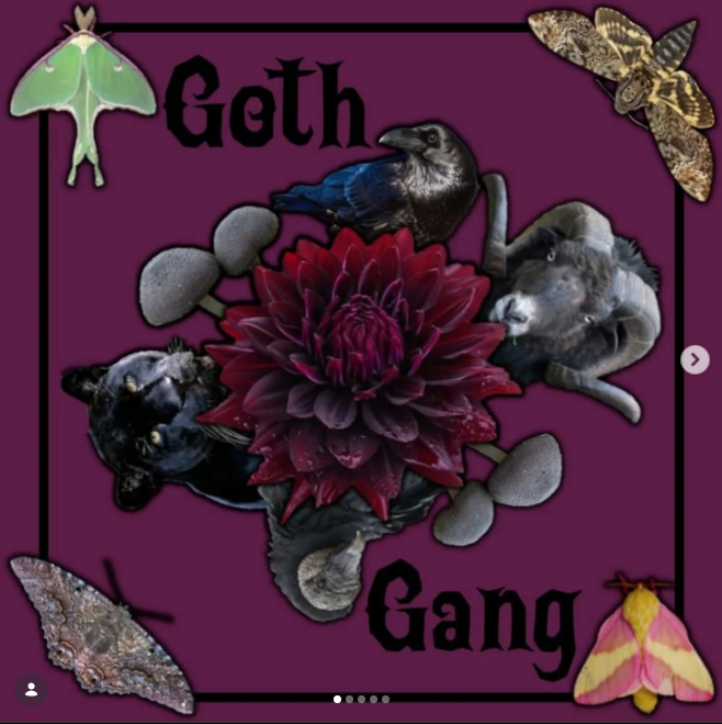 Goth Gang