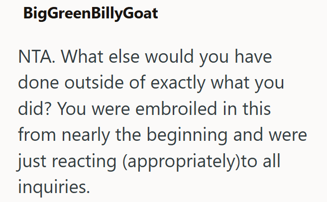 BigGreenBillyGoat NTA. What else would you have done outside of exactly what you did? You were embroiled in this from nearly the beginning and were just reacting (appropriately)to all inquiries.