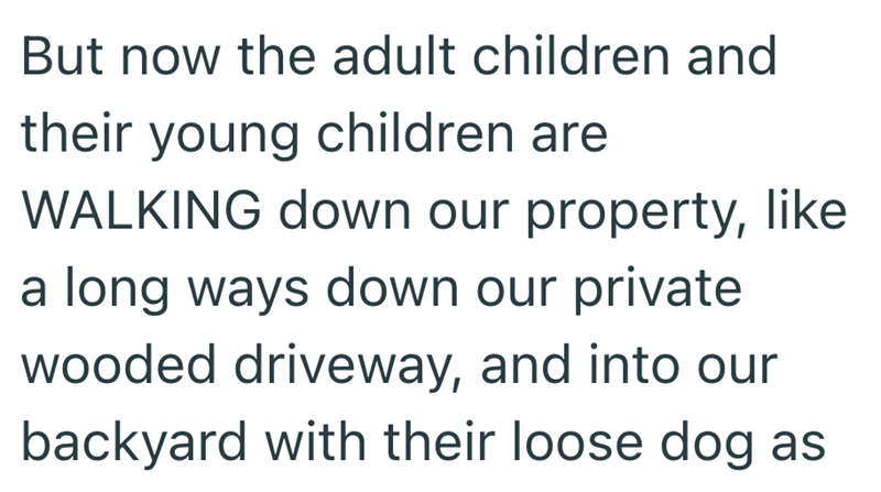 But now the adult children and their young children are WALKING down our property, like a long ways down our private wooded driveway, and into our backyard with their loose dog as