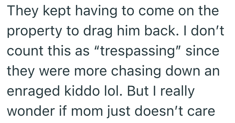 They kept having to come on the property to drag him back. I don't count this as "trespassing" since they were more chasing down an enraged kiddo lol. But I really wonder if mom just doesn't care