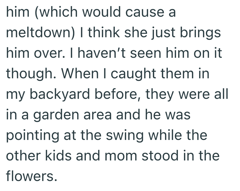 him (which would cause a meltdown) I think she just brings him over. I haven't seen him on it though. When I caught them in my backyard before, they were all in a garden area and he was pointing at the swing while the other kids and mom stood in the flowers.