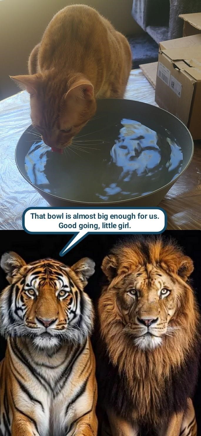 Cheezburger Image 10626219264