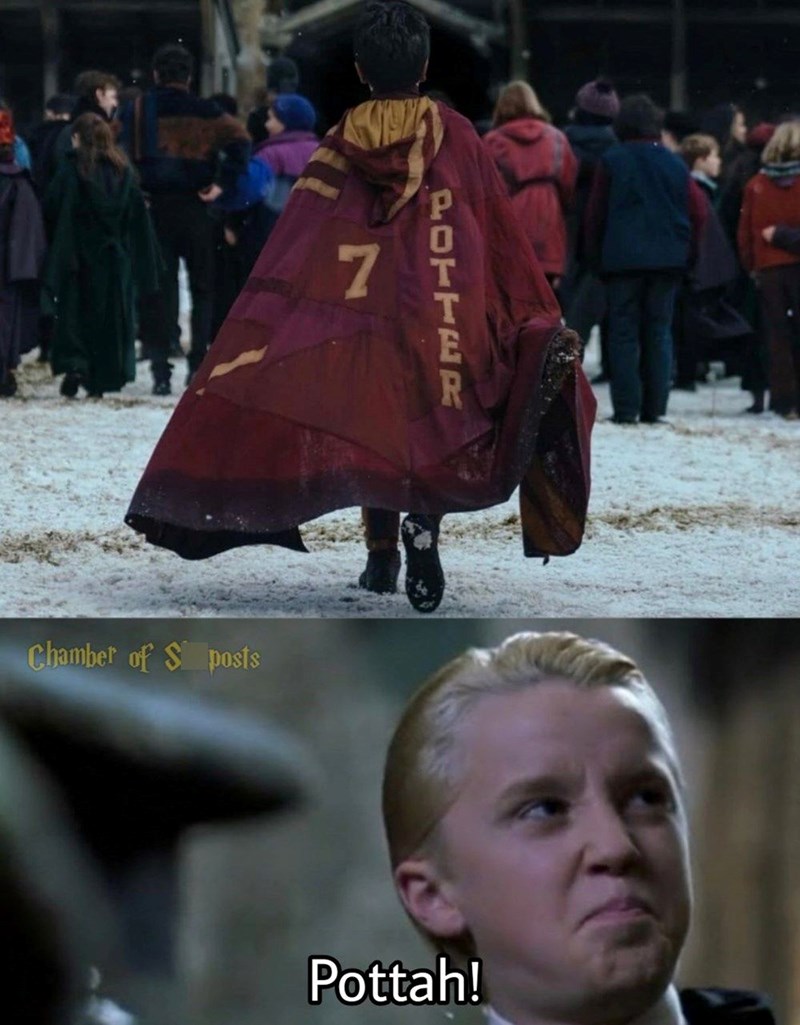 7 Chamber of S posts POTTER Pottah!