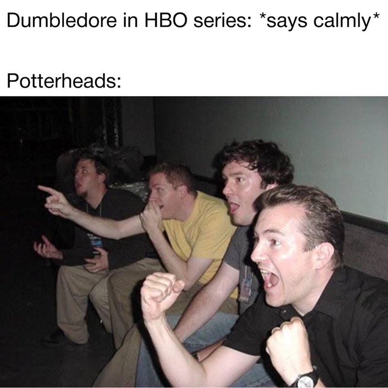 Dumbledore in HBO series: *says calmly* Potterheads: