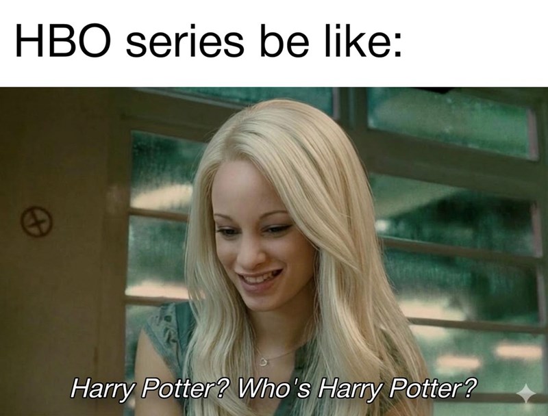 HBO series be like: Harry Potter? Who's Harry Potter?