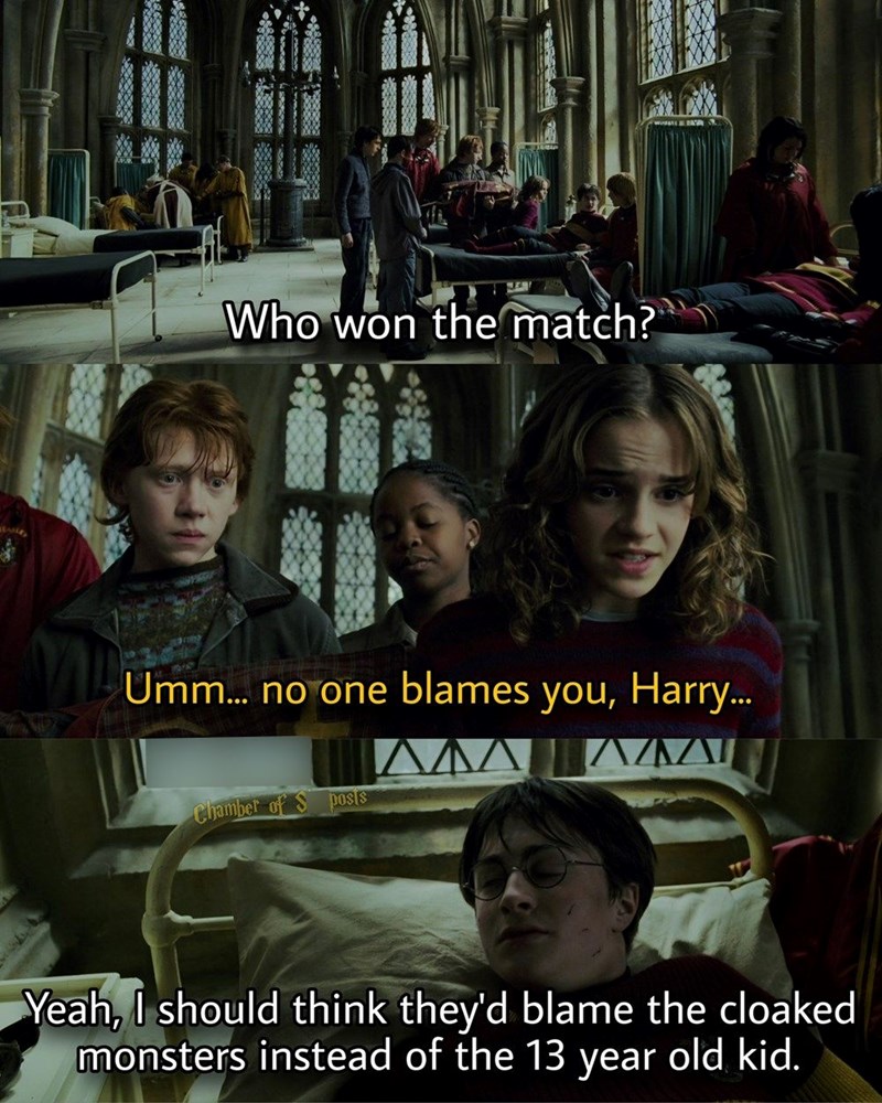 ANE Who won the match? Umm... no one blames you, Harry... Chamber of S posts Yeah, I should think they'd blame the cloaked monsters instead of the 13 year old kid.
