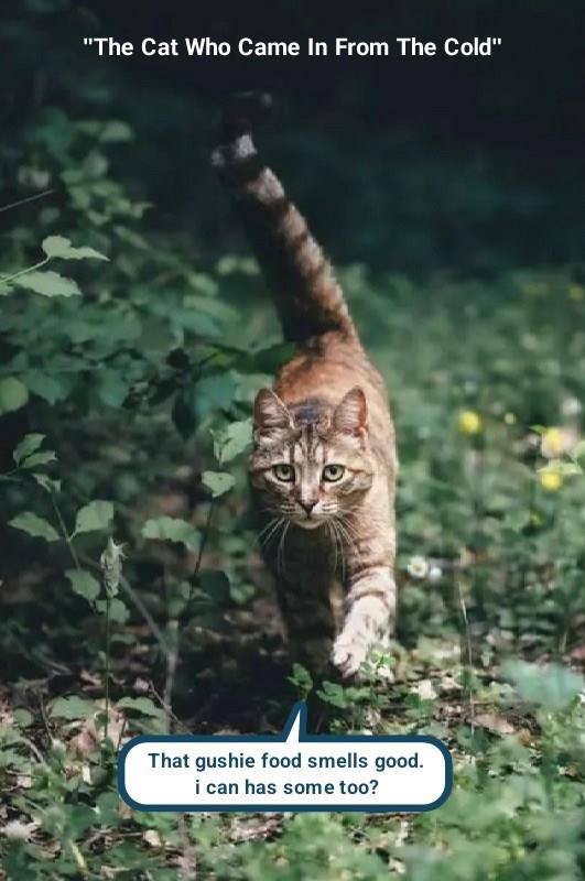 Cheezburger Image 10626227200