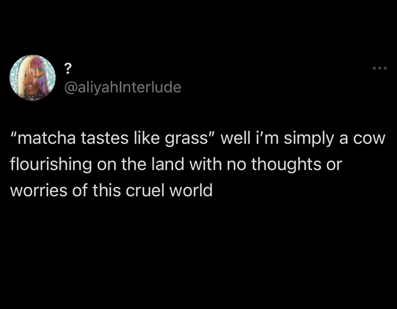 ? @aliyahlnterlude "matcha tastes like grass" well i'm simply a cow flourishing on the land with no thoughts or worries of this cruel world