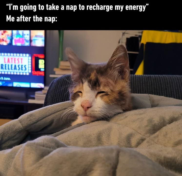 "I'm going to take a nap to recharge my energy" Me after the nap: LATEST RELEASES 3 June