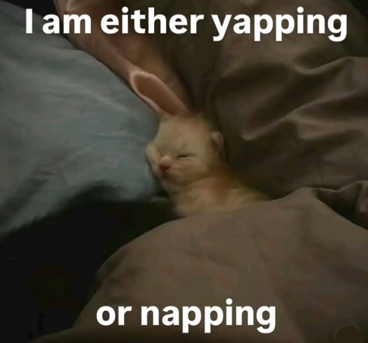I am either yapping or napping