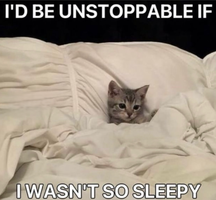 I'D BE UNSTOPPABLE IF I WASN'T SO SLEEPY