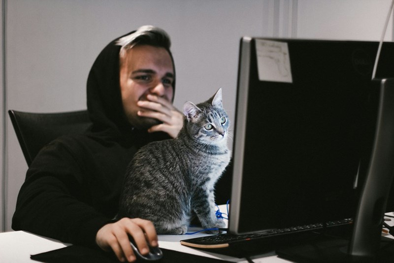 A cat sits in front of a computer screen while it's owner tries to get work done.