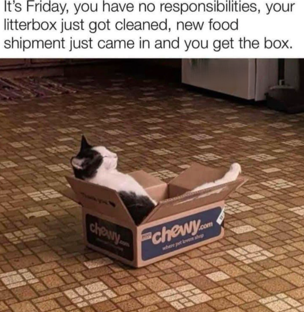 It's Friday, you have no responsibilities, your litterbox just got cleaned, new food shipment just came in and you get the box. chowy chewy.com where pet lovers shop