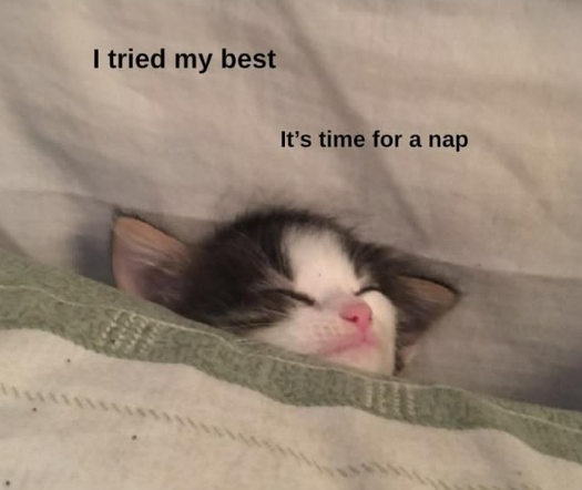 I tried my best It's time for a nap