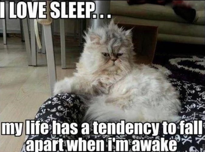I LOVE SLEEP... my life has a tendency to fall apart when i'm awake