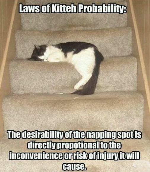 Laws of Kitteh Probability: The desirability of the napping spotis directly propotional to the inconvenience or risk of injury it will cause.
