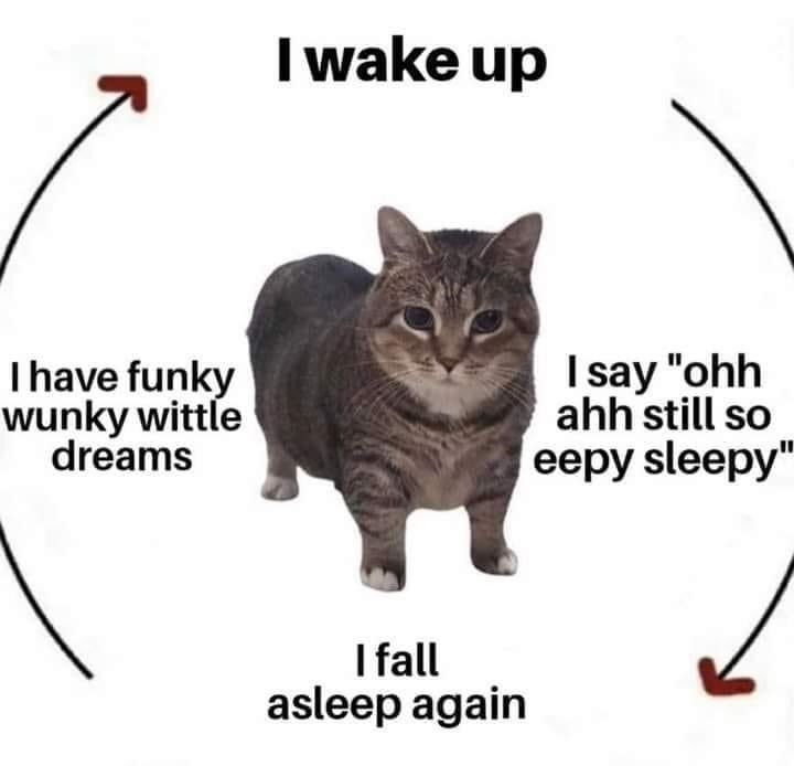 I wake up I have funky wunky wittle dreams I say "ohh ahh still so eepy sleepy" I fall asleep again